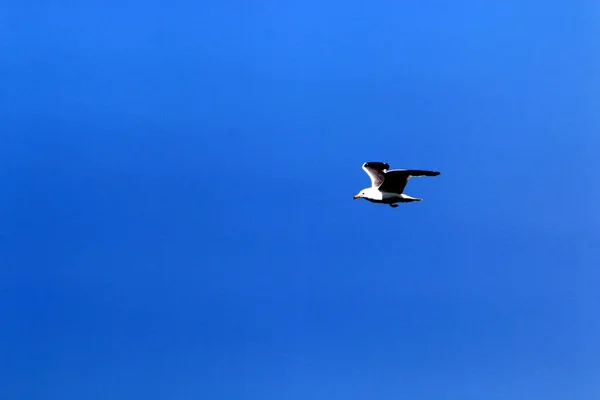 Het Type Kleur Van Hemel Hangt Van Het Moment Van — Stockfoto