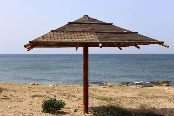 Canopy Sun Shores Mediterranean Northern Israel — Stock Photo, Image