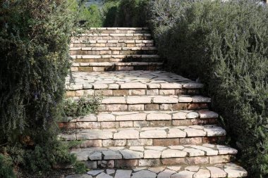 merdiven - çıkış ve iniş için adımları bir dizi şeklinde bir yapı 