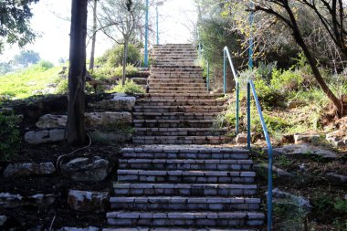 merdiven - çıkış ve iniş için adımları bir dizi şeklinde bir yapı 