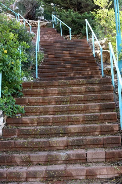 Ladder Structure Form Series Steps Ascent Descent — Stock Photo, Image