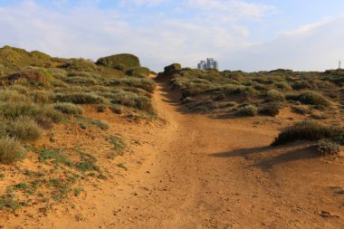 dağ yolunda İsrail devletinin kuzey ormanında