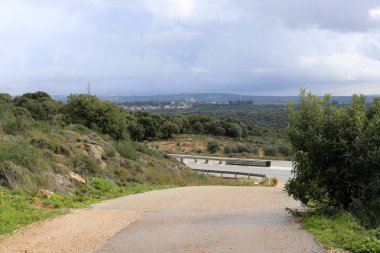 dağ yolunda İsrail devletinin kuzey ormanında