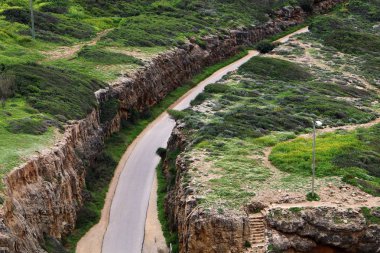 dağ yolunda İsrail devletinin kuzey ormanında