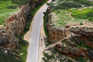 dağ yolunda İsrail devletinin kuzey ormanında