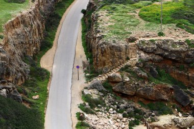 dağ yolunda İsrail devletinin kuzey ormanında