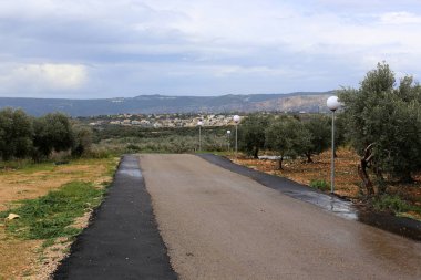 dağ yolunda İsrail devletinin kuzey ormanında