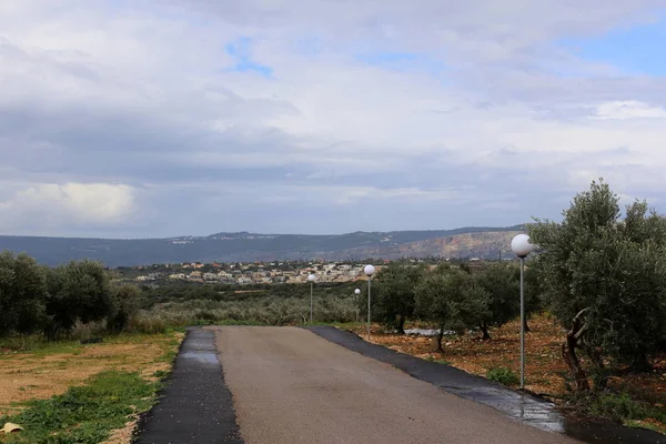 Strada Montagna Nella Foresta Nel Nord Dello Stato Israele — Foto Stock