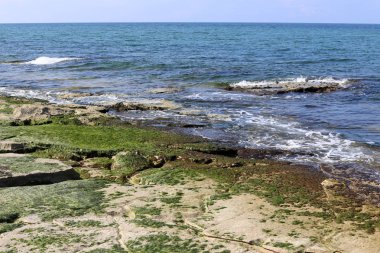 Akdeniz'de İsrail devletinin kuzey kıyısında 