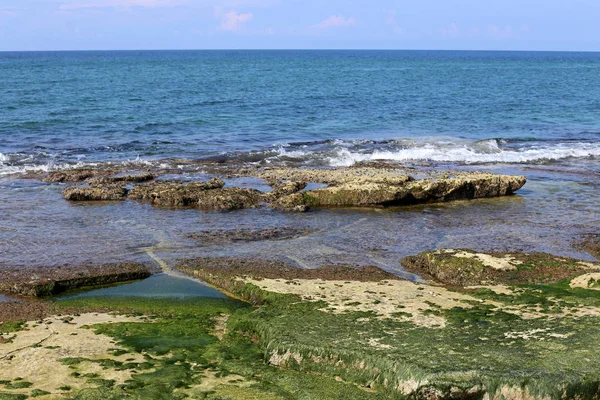 Küste Des Mittelmeeres Norden Des Staates Israel — Stockfoto