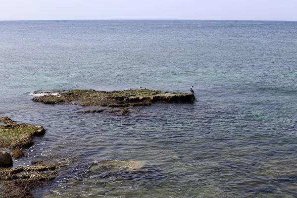 Kusten Medelhavet Norra Delen Staten Israel — Stockfoto