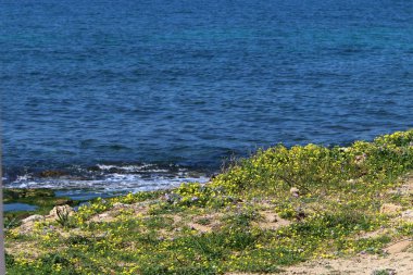 Akdeniz'de İsrail devletinin kuzey kıyısında 