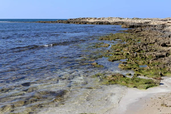 イスラエル共和国の州の北の地中海の海岸 — ストック写真