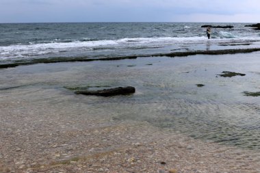 Israil eyaletinin kuzeyinde Akdeniz kıyısı 