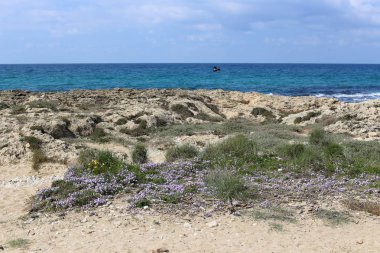 Israil eyaletinin kuzeyinde Akdeniz kıyısı 
