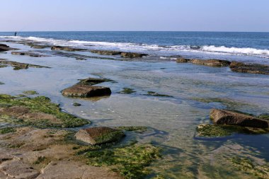 Israil eyaletinin kuzeyinde Akdeniz kıyısı 