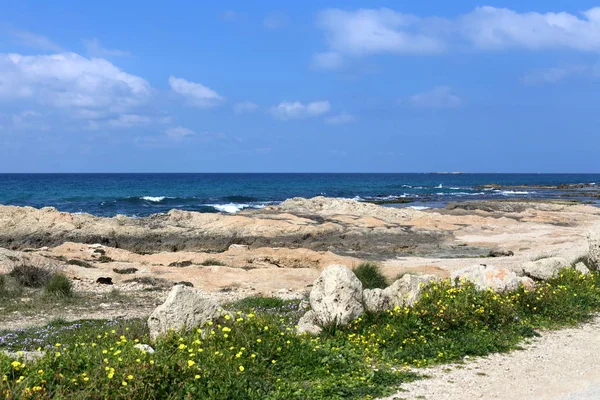 イスラエルの州北部の地中海沿岸 — ストック写真