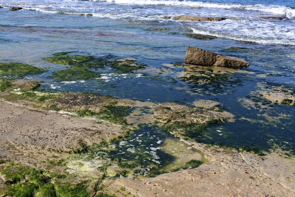 以色列国北部的地中海沿岸 — 图库照片