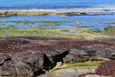 Israil eyaletinin kuzeyinde Akdeniz kıyısı 