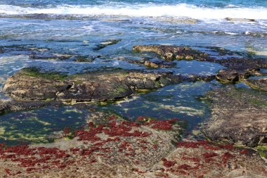 Israil eyaletinin kuzeyinde Akdeniz kıyısı 