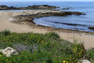 Israil eyaletinin kuzeyinde Akdeniz kıyısı 