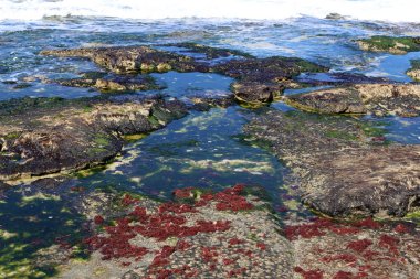 Israil eyaletinin kuzeyinde Akdeniz kıyısı 