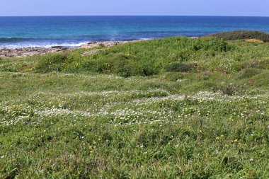 Israil eyaletinin kuzeyinde Akdeniz kıyısı 