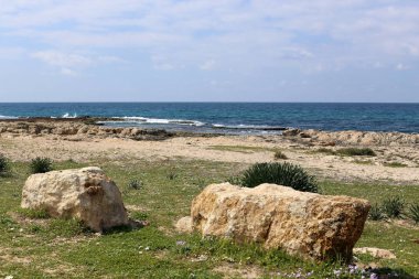 taşlar ve kabukları Kuzey İsrail'Akdeniz kıyısında 