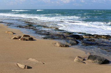 taşlar ve kabukları Kuzey İsrail'Akdeniz kıyısında 