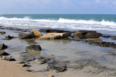 taşlar ve kabukları Kuzey İsrail'Akdeniz kıyısında 