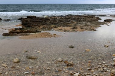 taşlar ve kabukları Kuzey İsrail'Akdeniz kıyısında 