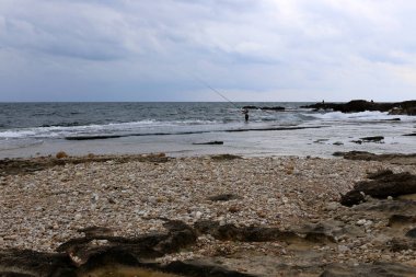 taşlar ve kabukları Kuzey İsrail'Akdeniz kıyısında 