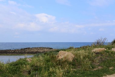 taşlar ve kabukları Kuzey İsrail'Akdeniz kıyısında 
