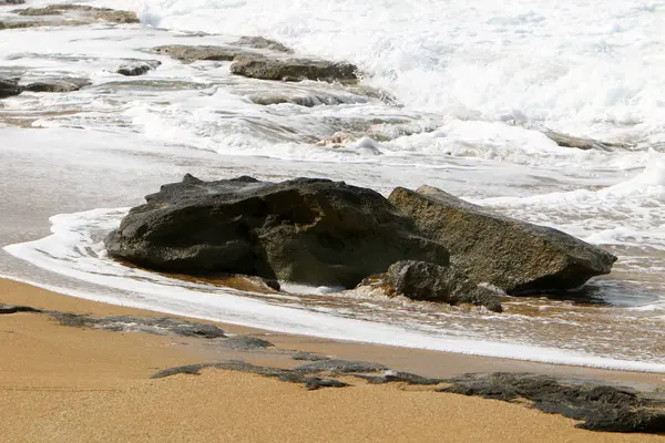 石とイスラエル北部の地中海の海岸で貝殻 — ストック写真
