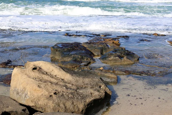 Kameny Mušle Pobřeží Středozemního Moře Severním Izraeli — Stock fotografie