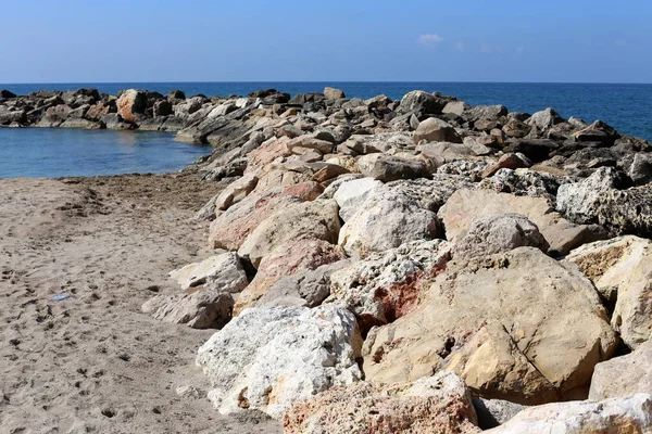 Piedras Conchas Las Orillas Del Mediterráneo Norte Israel — Foto de Stock