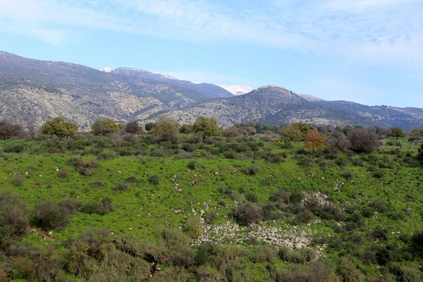 Fotografías Naturaleza Las Flores Invierno Cerca Norte Israel — Foto de Stock