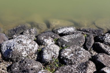 Kuzey İsrail'temiz su ile bir yapay göl kıyısında 