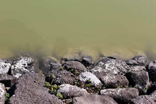 Costa Lago Artificial Com Água Doce Norte Israel — Fotografia de Stock