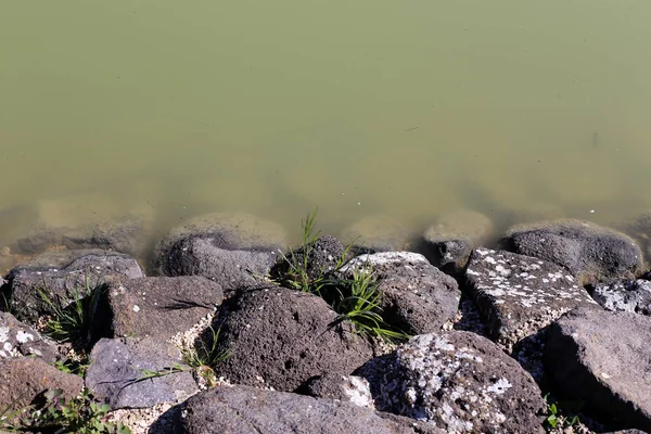 Costa Lago Artificial Com Água Doce Norte Israel — Fotografia de Stock