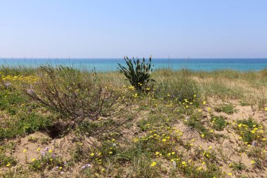 Akdeniz'de İsrail devletinin kuzey kıyısında 