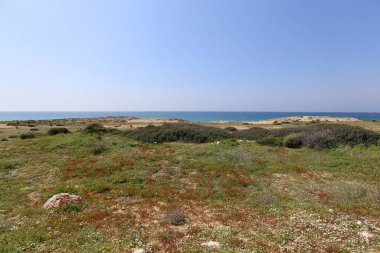 Akdeniz'de İsrail devletinin kuzey kıyısında 