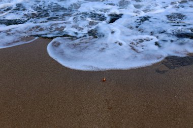 Akdeniz'de İsrail devletinin kuzey kıyısında 