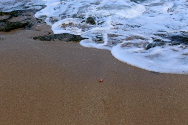 Akdeniz'de İsrail devletinin kuzey kıyısında 