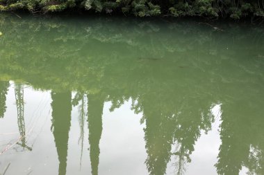 Incil 'e göre, nehrin sularında Isa Mesih vaftiz edildi 