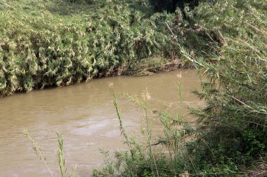 Incil 'e göre, nehrin sularında Isa Mesih vaftiz edildi 