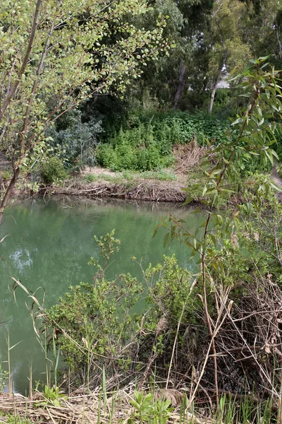 According Gospel Waters River Jesus Christ Baptized — Stock Photo, Image