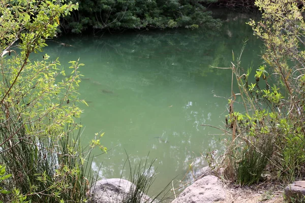 Secondo Vangelo Nelle Acque Del Fiume Gesù Cristo Battezzato — Foto Stock