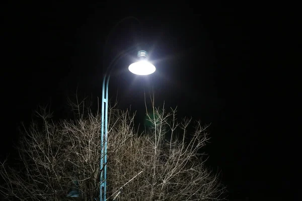 Lantern Lighting Installed City Park Israel — Stock Photo, Image