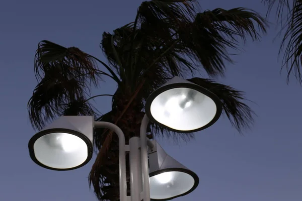 Lanterne Pour Éclairage Installé Dans Parc Municipal Israël — Photo